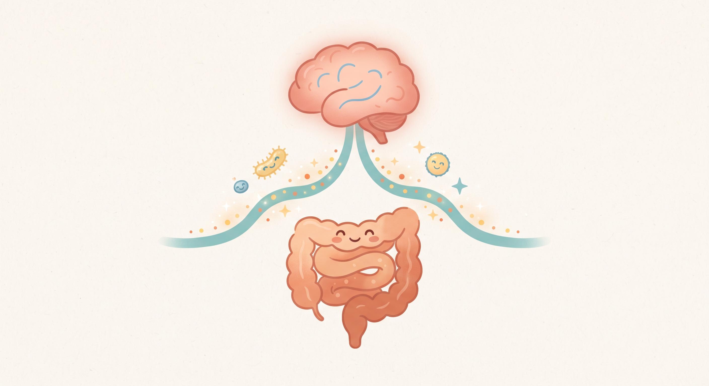 Ce qui déséquilibre votre microbiote (et comment le repérer)